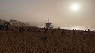 GC-Paseo Las Canteras (Las Palmas) 2026-175.jpg